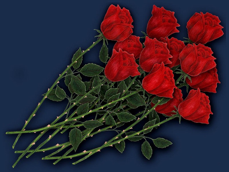 Roses for You